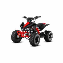 Cuatrimotos ATV